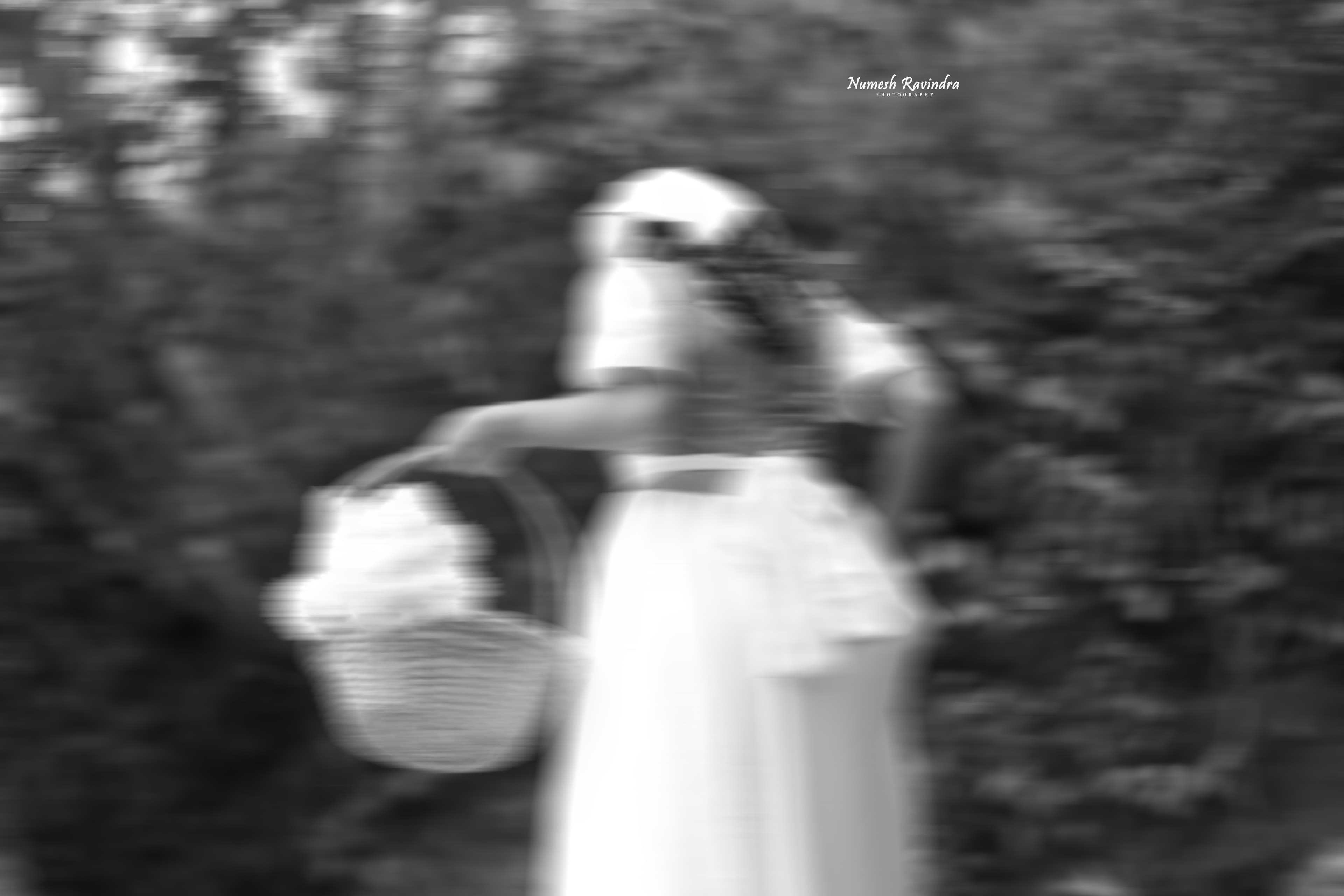 Anu Karunathilaka - Photo 6