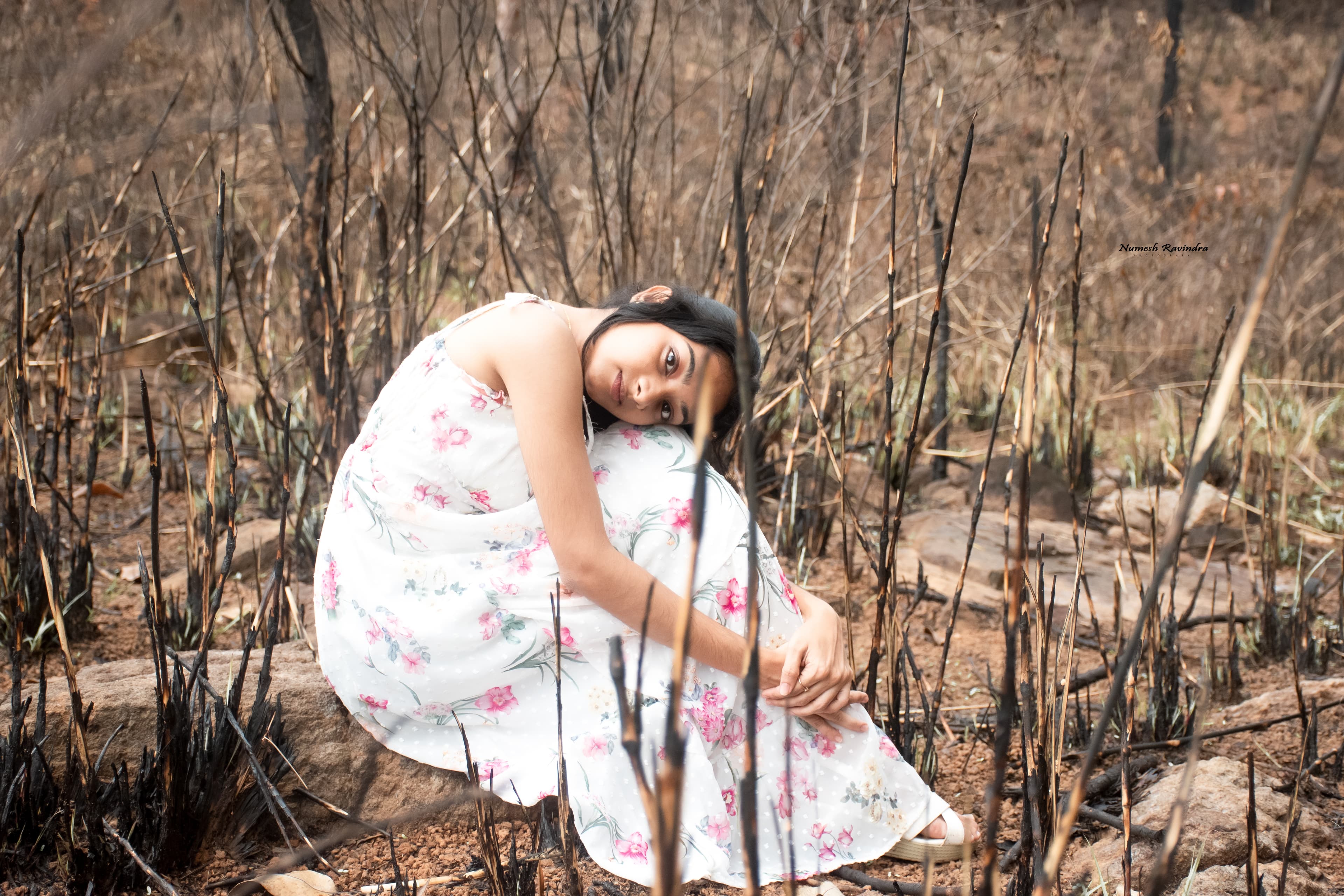 Manavi Photo Shoot - Photo 5