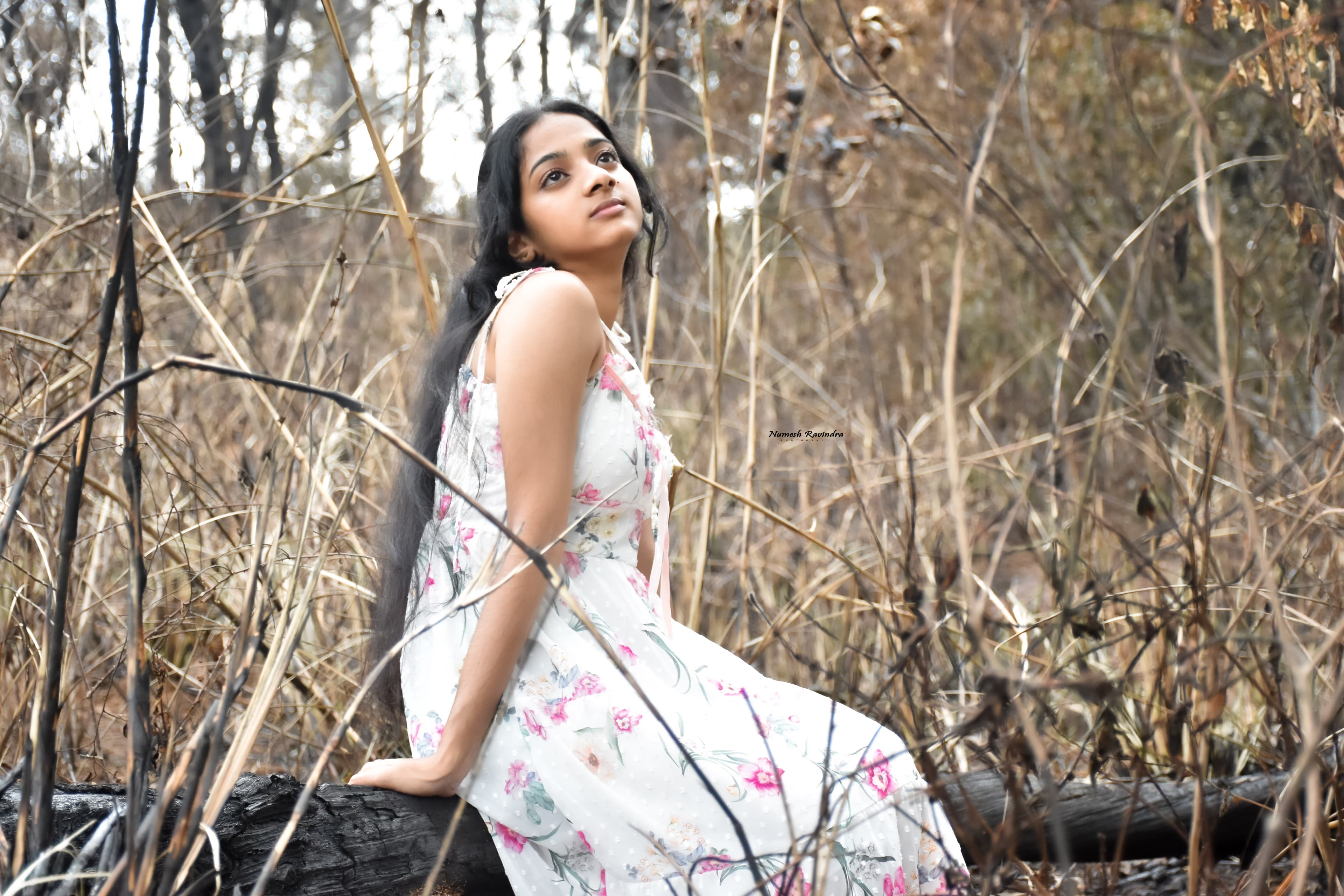 Manavi Photo Shoot - Photo 13