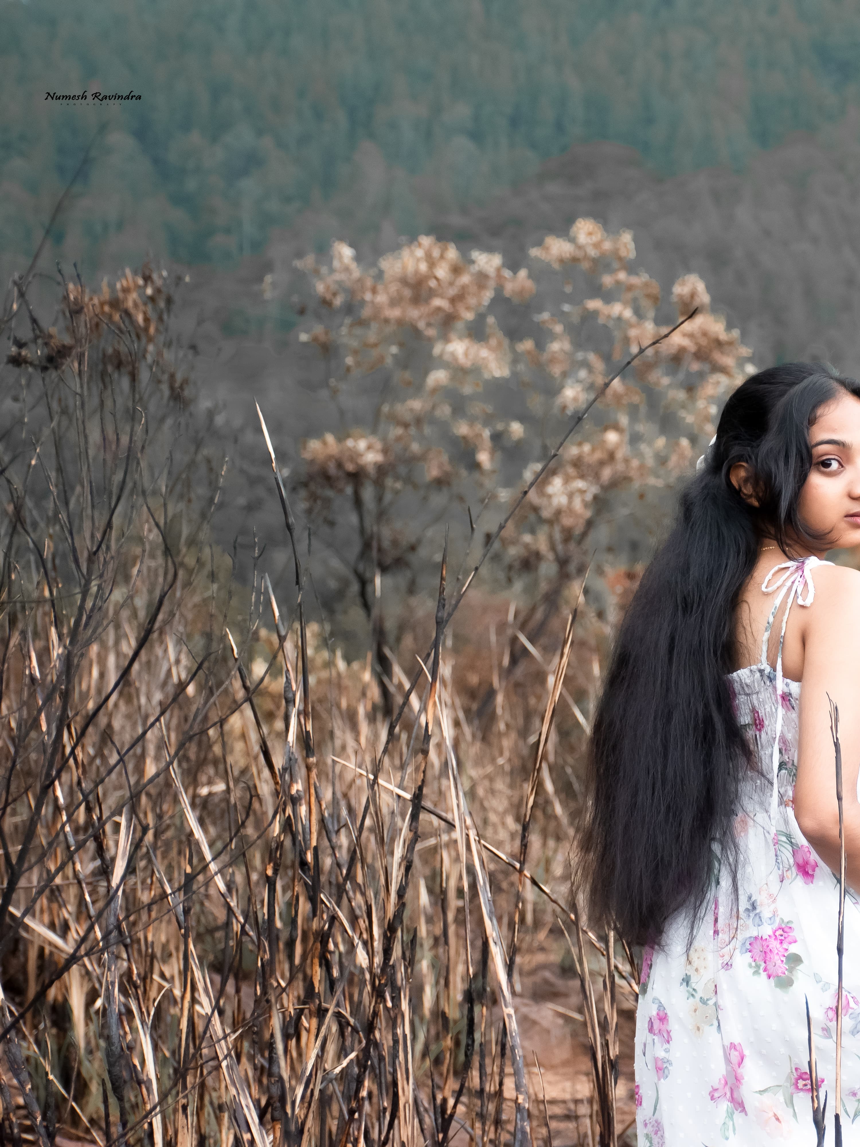 Manavi Photo Shoot - Photo 14